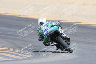 media/Mar-10-2024-SoCal Trackdays (Sun) [[6228d7c590]]/9-Turn 8 Backside (1150am)/